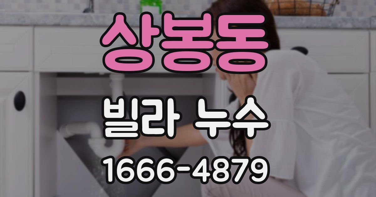 상봉동 빌라 누수