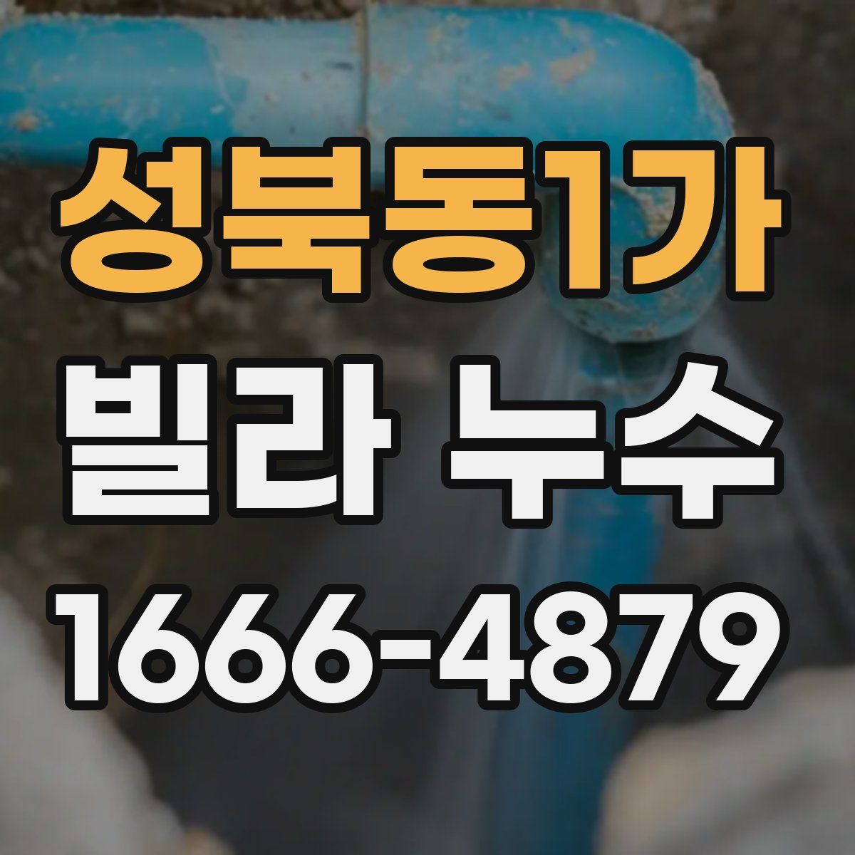 성북동1가 빌라 누수