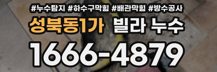 성북동1가 빌라 누수