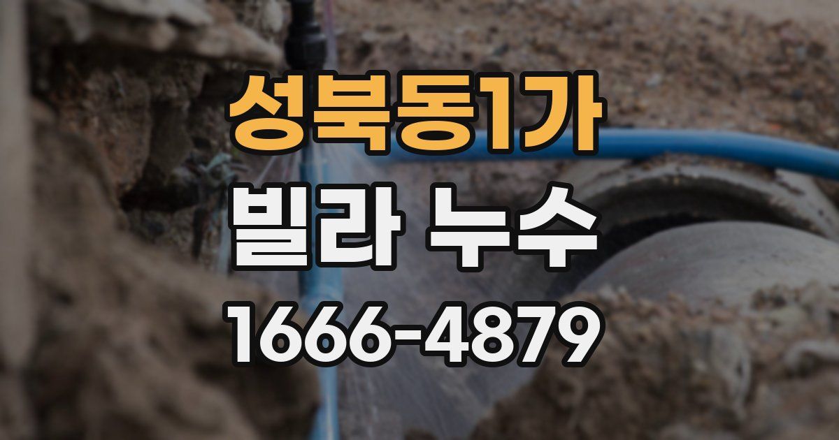 성북동1가 빌라 누수