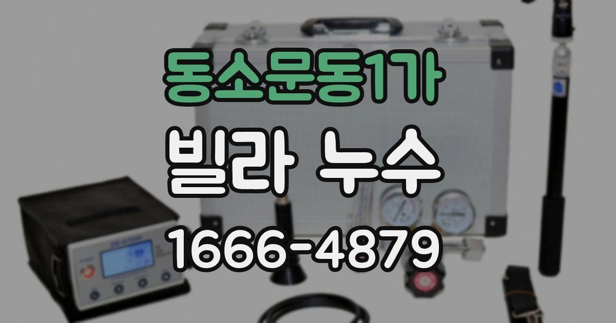 동소문동1가 빌라 누수
