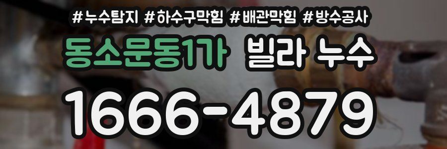 동소문동1가 빌라 누수