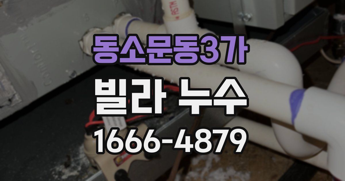 동소문동3가 빌라 누수
