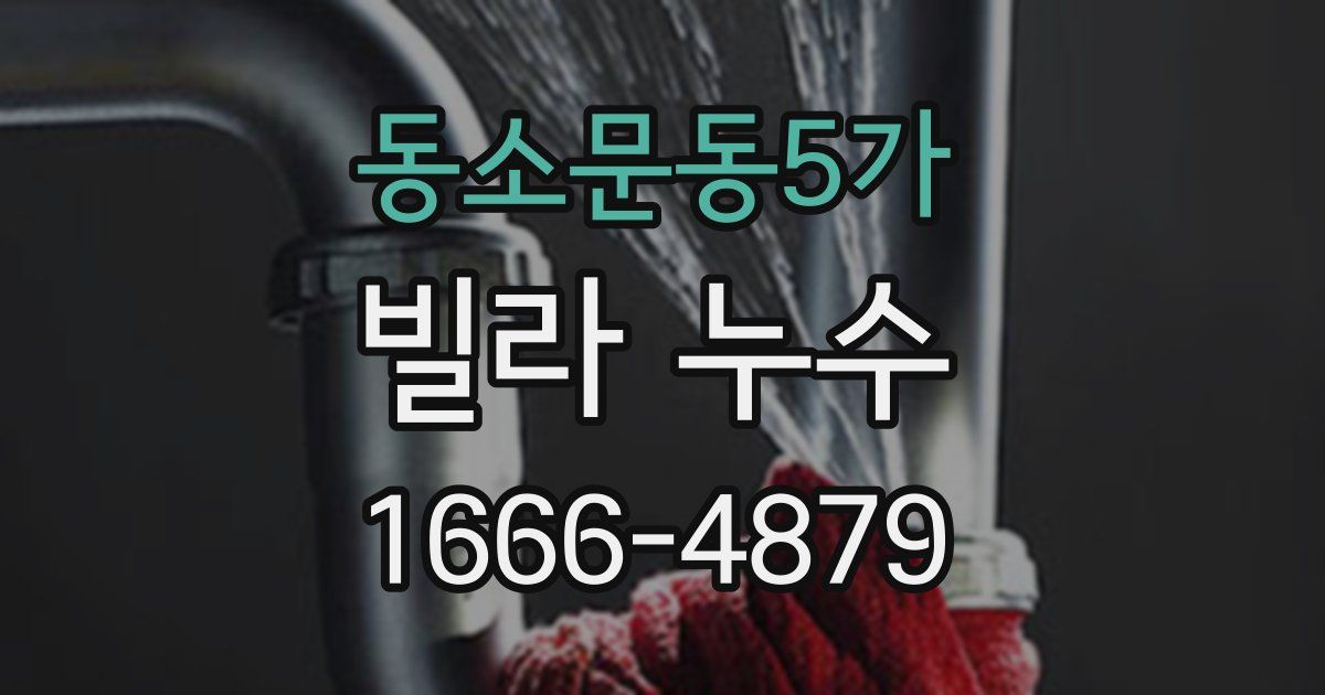 동소문동5가 빌라 누수