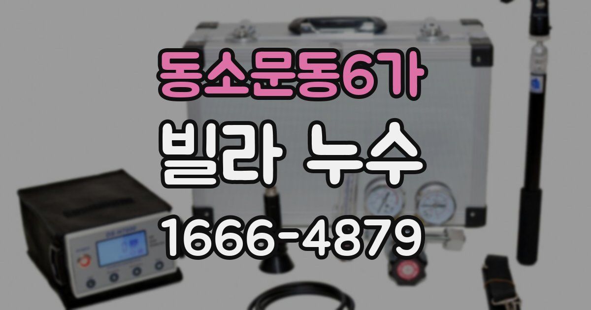 동소문동6가 빌라 누수