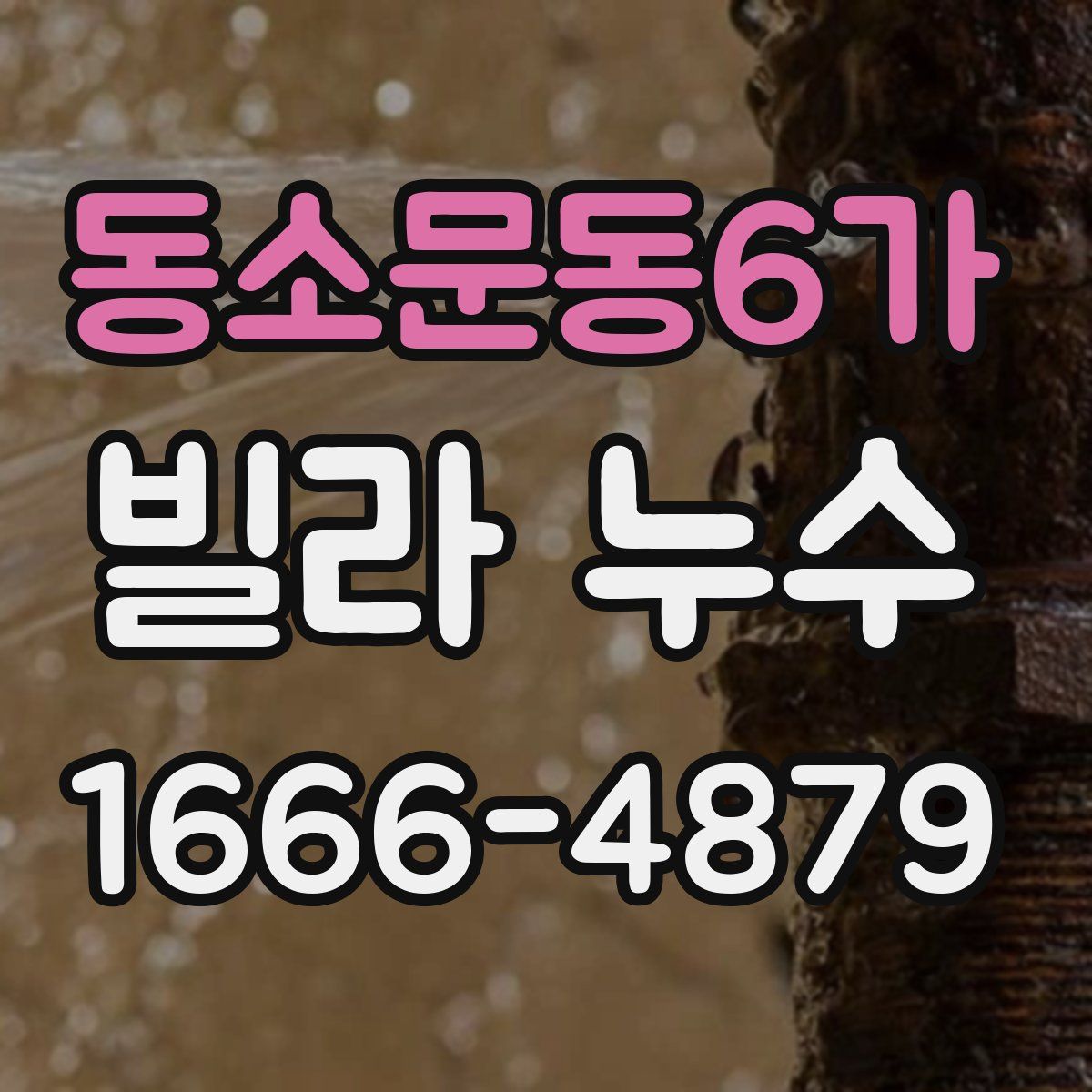 동소문동6가 빌라 누수