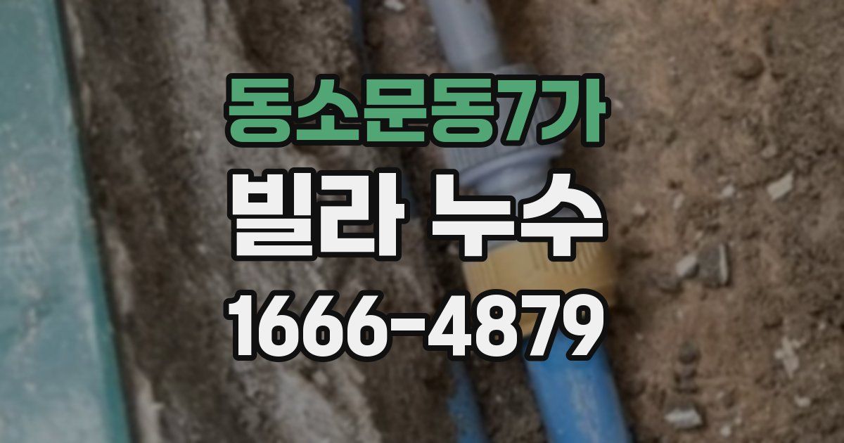 동소문동7가 빌라 누수