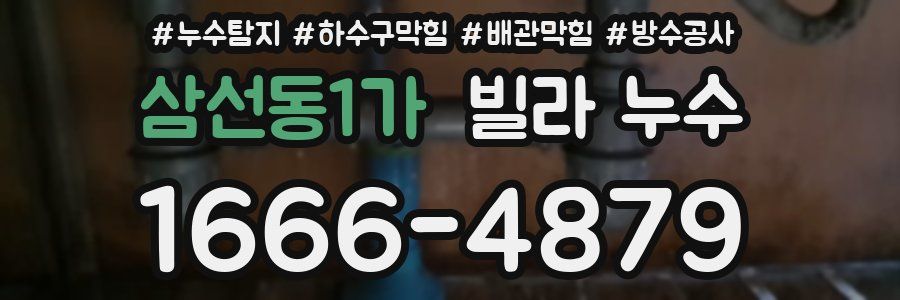 삼선동1가 빌라 누수