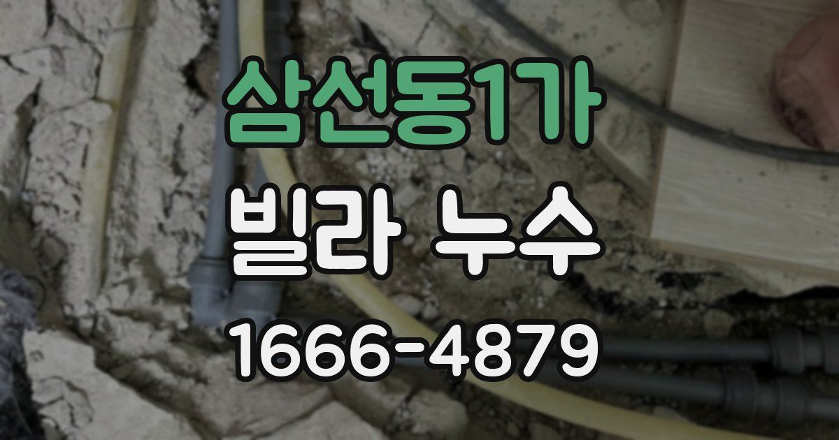 삼선동1가 빌라 누수