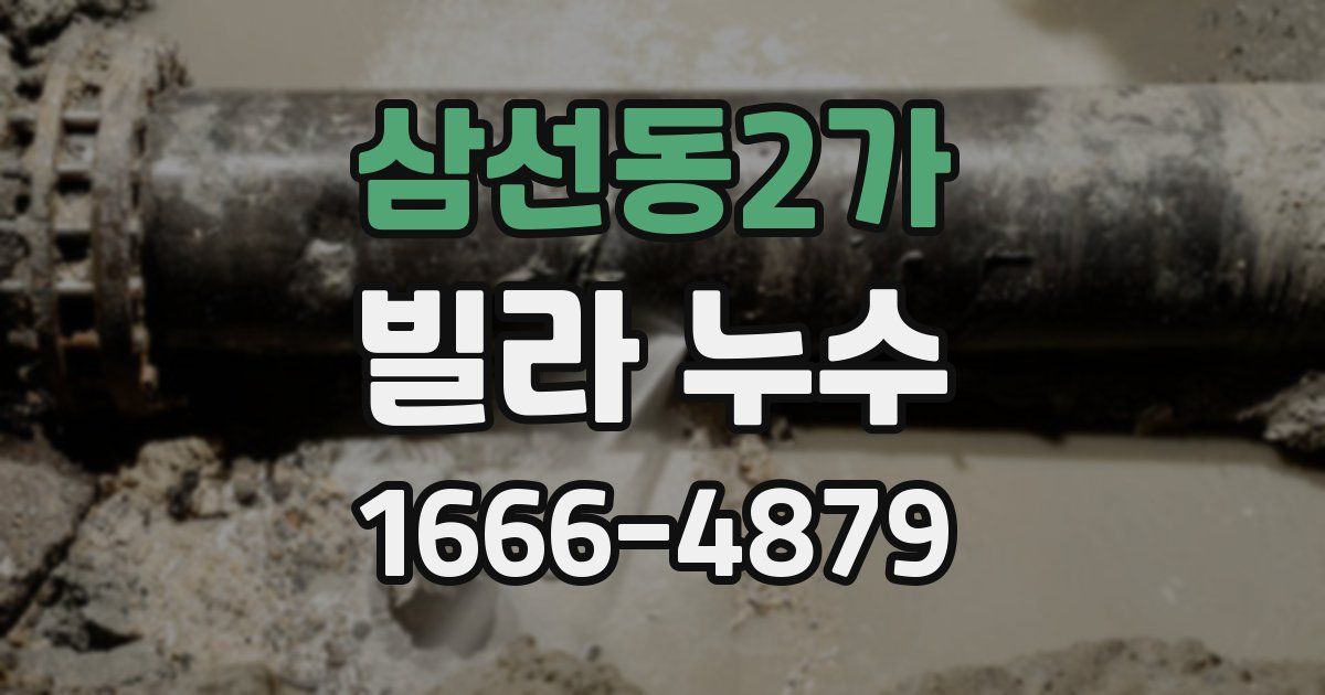 삼선동2가 빌라 누수