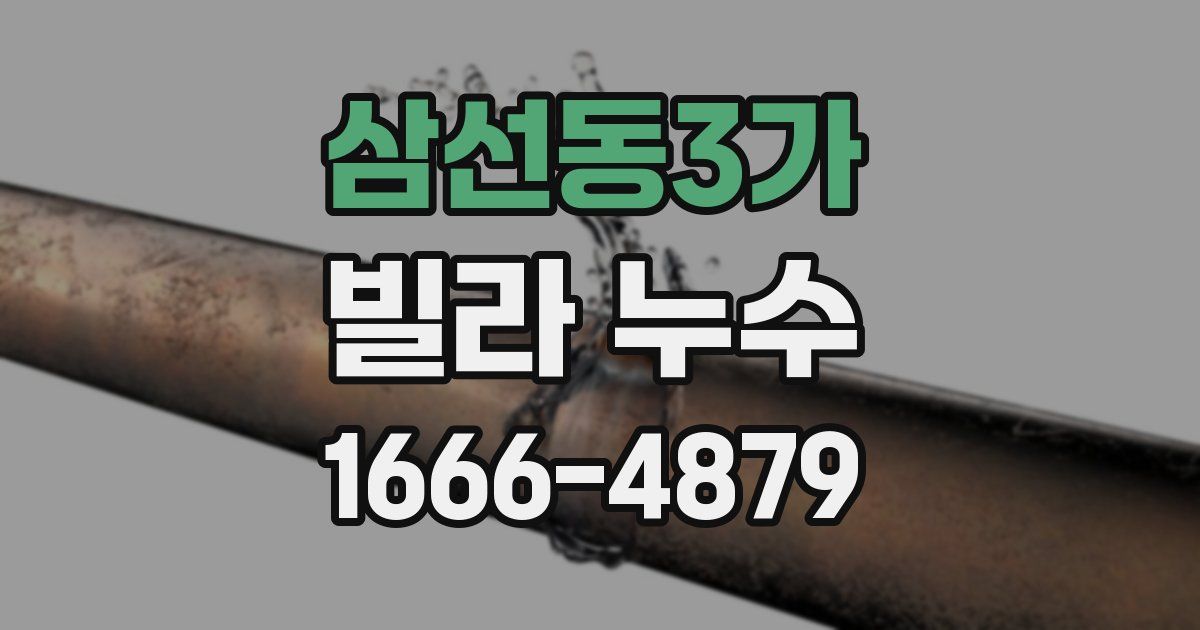 삼선동3가 빌라 누수