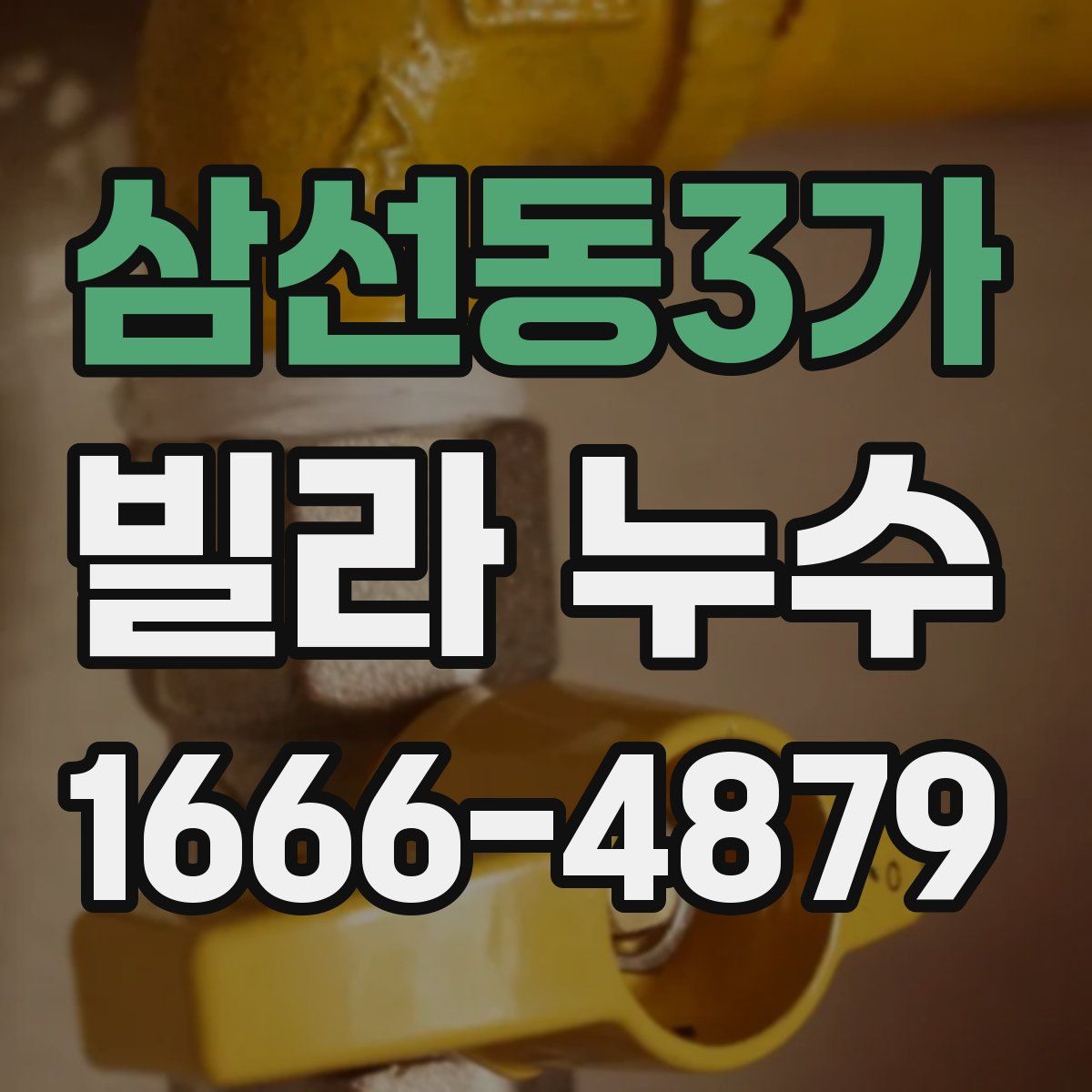 삼선동3가 빌라 누수