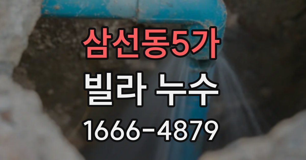 삼선동5가 빌라 누수