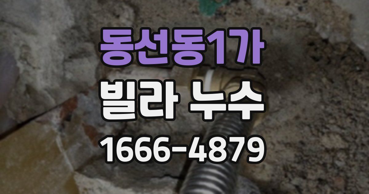 동선동1가 빌라 누수