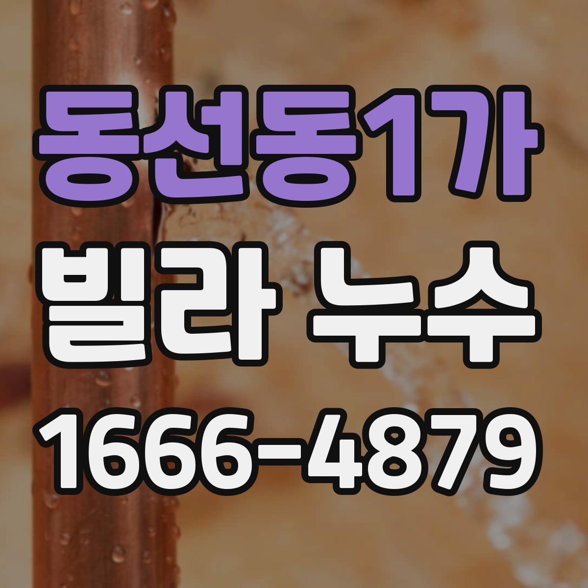 동선동1가 빌라 누수