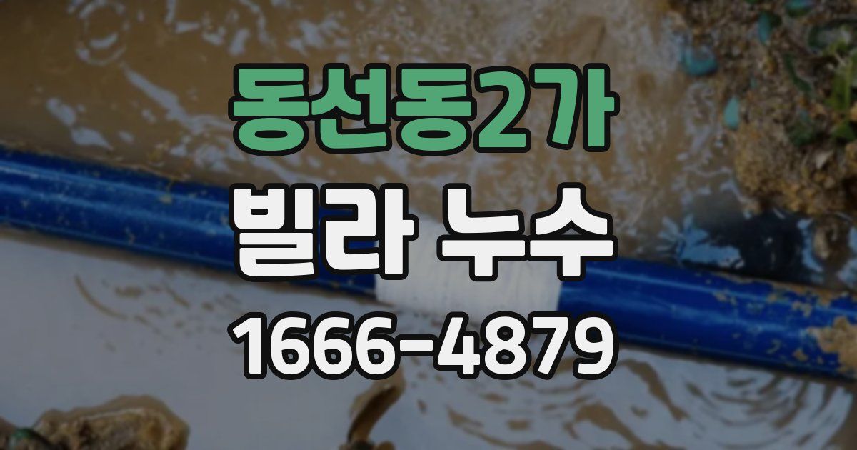동선동2가 빌라 누수