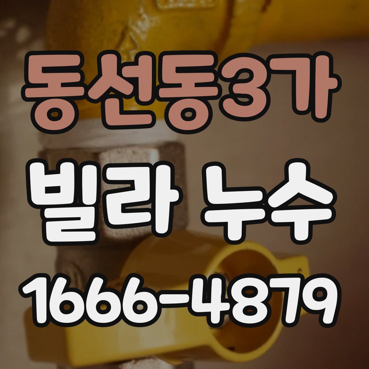 동선동3가 빌라 누수