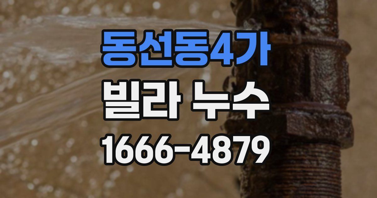 동선동4가 빌라 누수