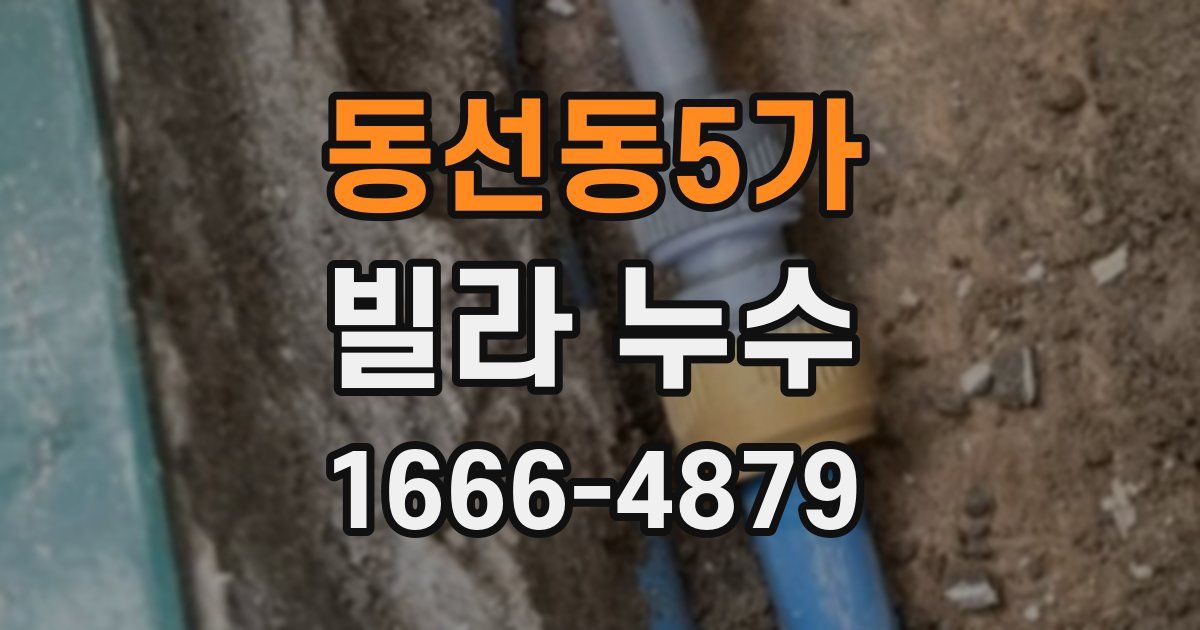 동선동5가 빌라 누수