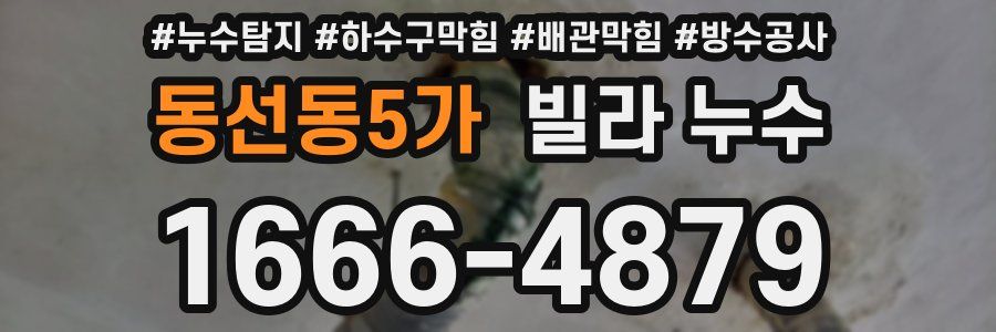동선동5가 빌라 누수