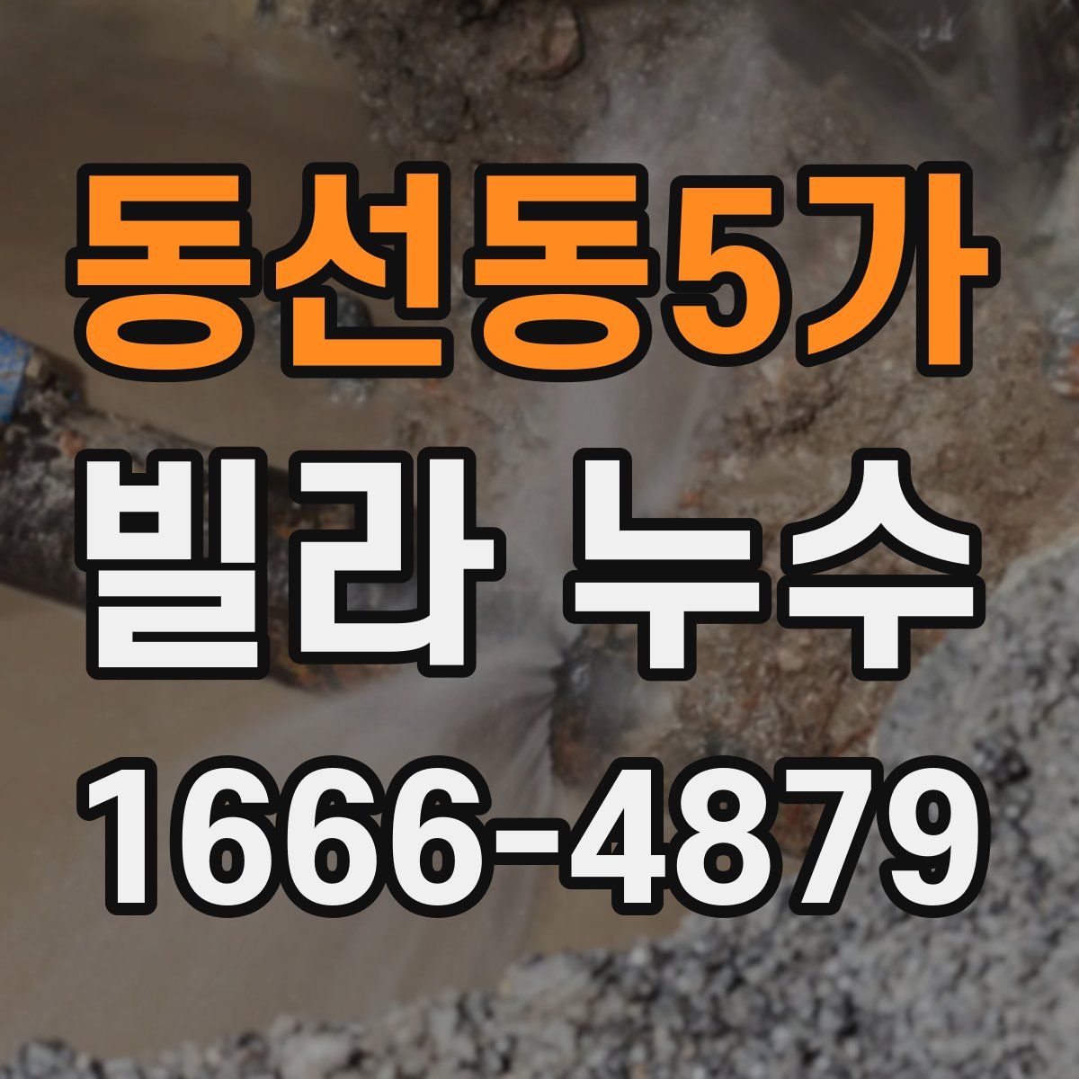 동선동5가 빌라 누수