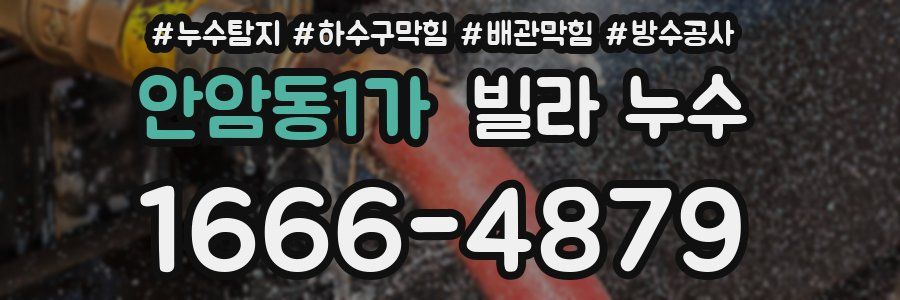 안암동1가 빌라 누수