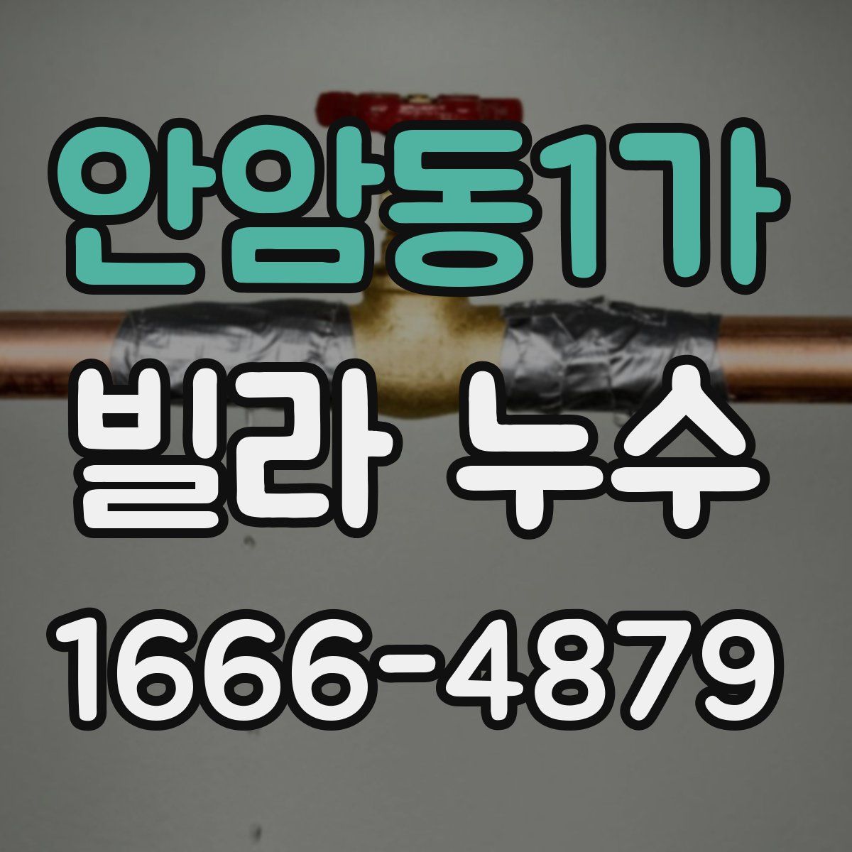 안암동1가 빌라 누수