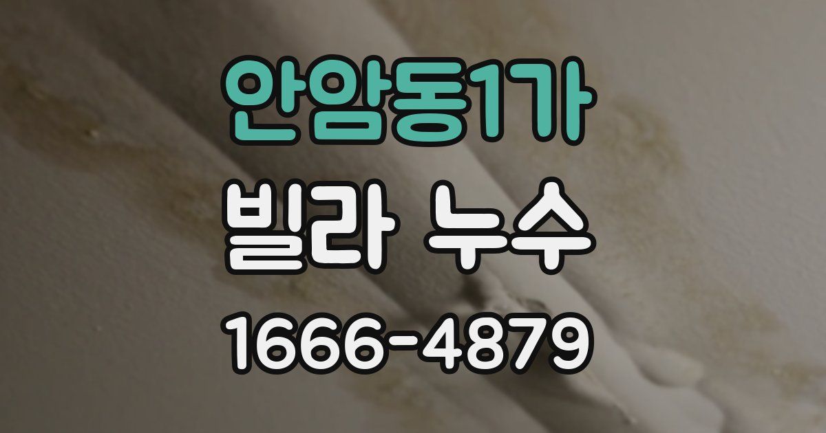 안암동1가 빌라 누수