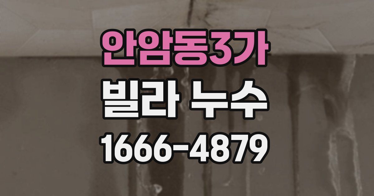 안암동3가 빌라 누수