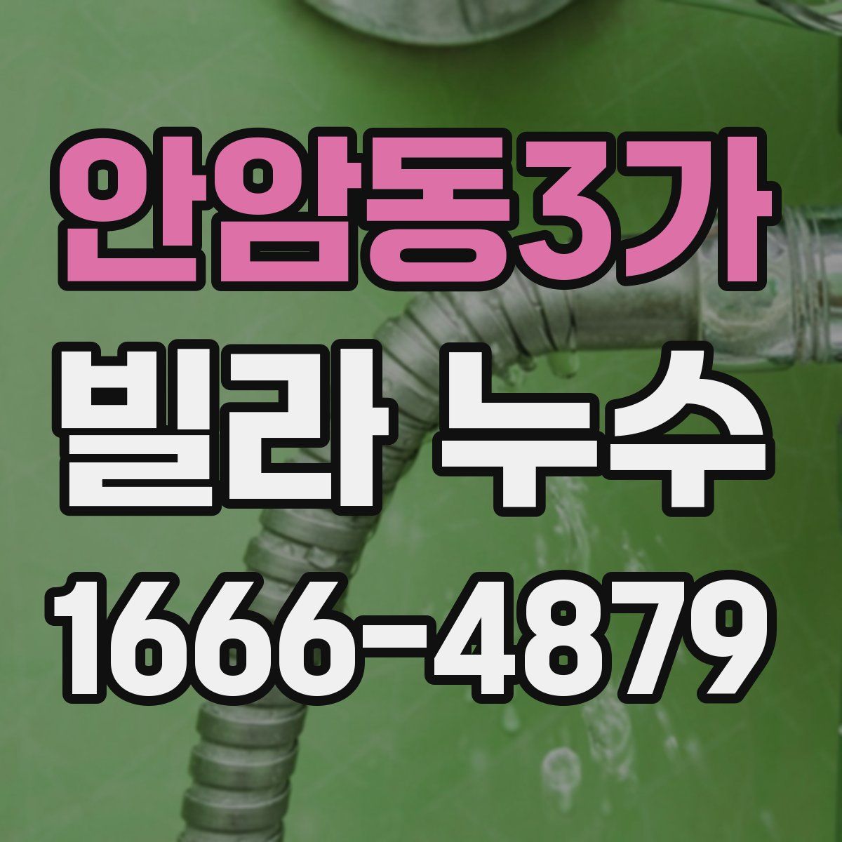 안암동3가 빌라 누수