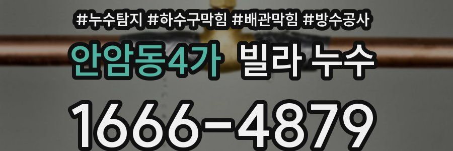 안암동4가 빌라 누수