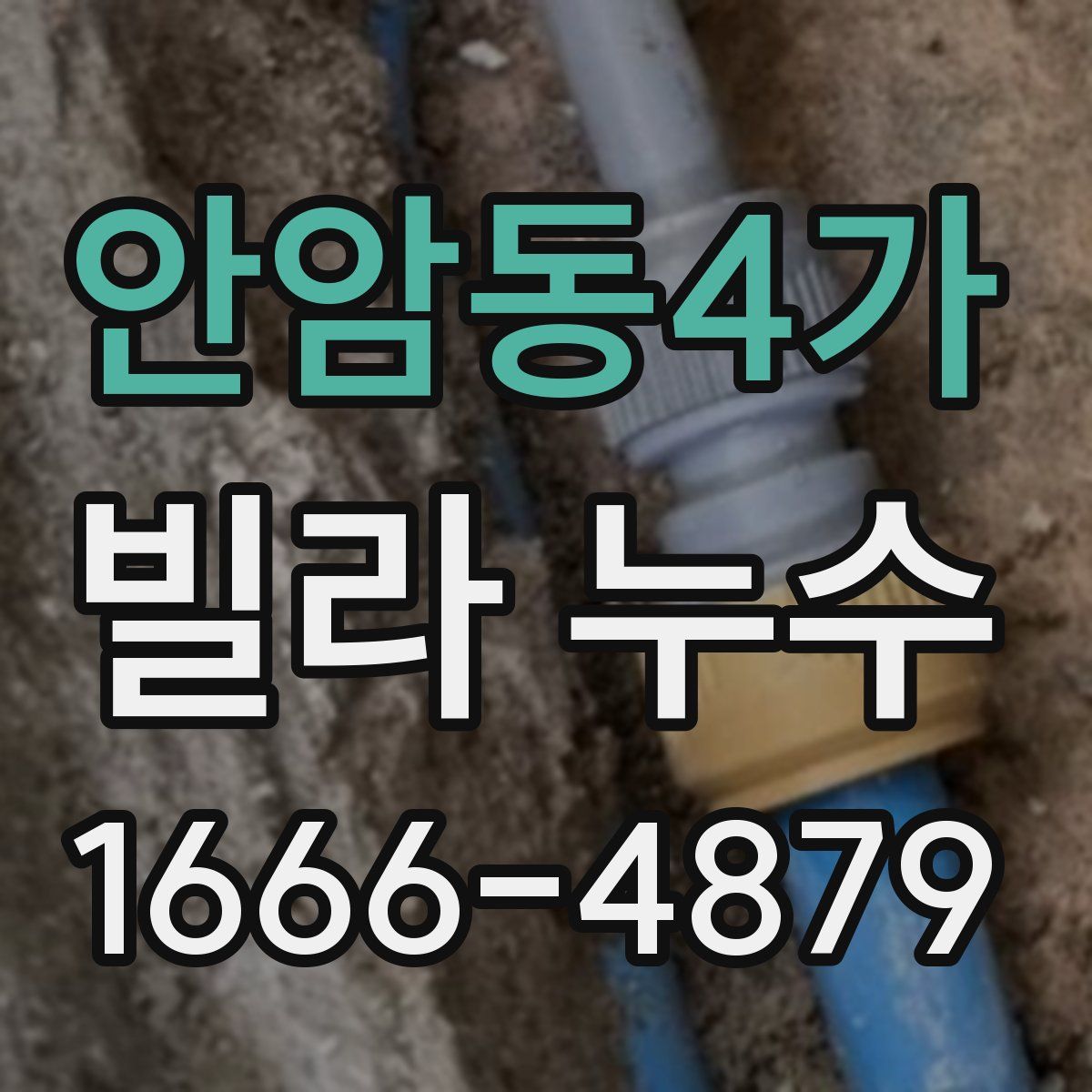 안암동4가 빌라 누수