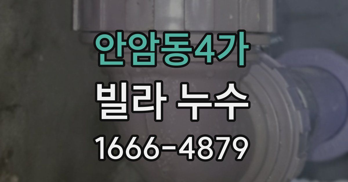 안암동4가 빌라 누수