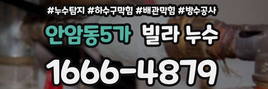 안암동5가 빌라 누수