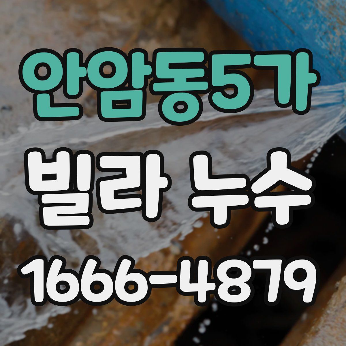 안암동5가 빌라 누수