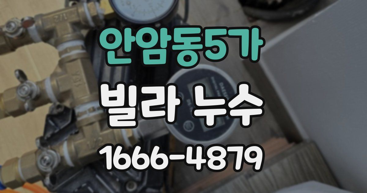 안암동5가 빌라 누수