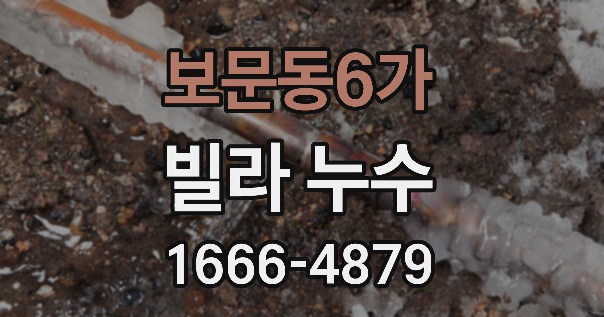 보문동6가 빌라 누수