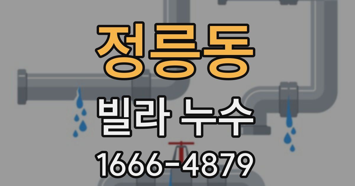 정릉동 빌라 누수