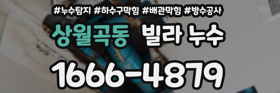 상월곡동 빌라 누수