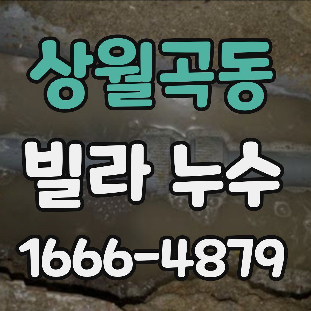 상월곡동 빌라 누수