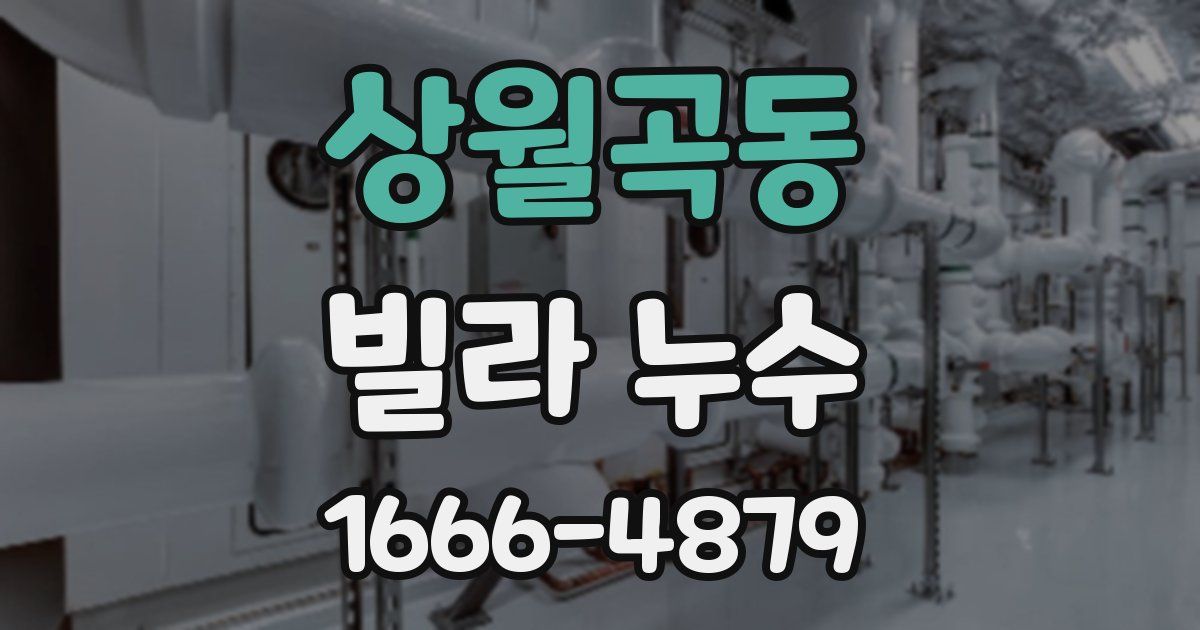상월곡동 빌라 누수