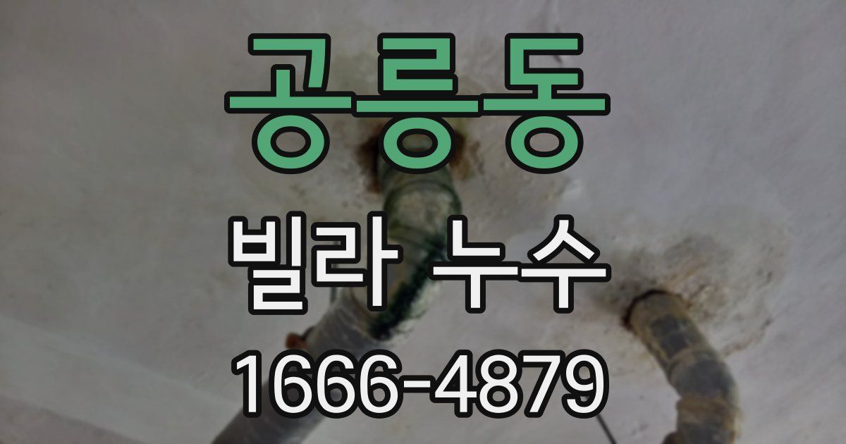 공릉동 빌라 누수