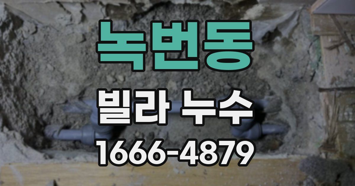 녹번동 빌라 누수