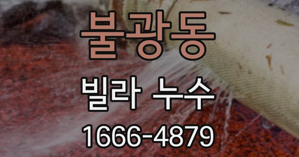 불광동 빌라 누수
