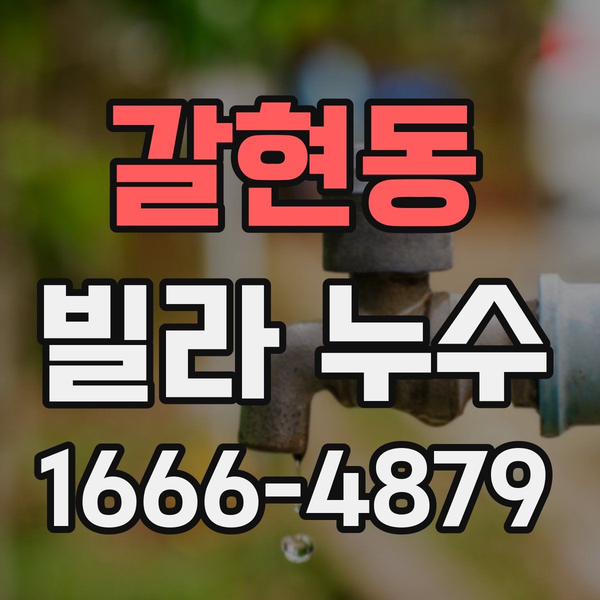 갈현동 빌라 누수