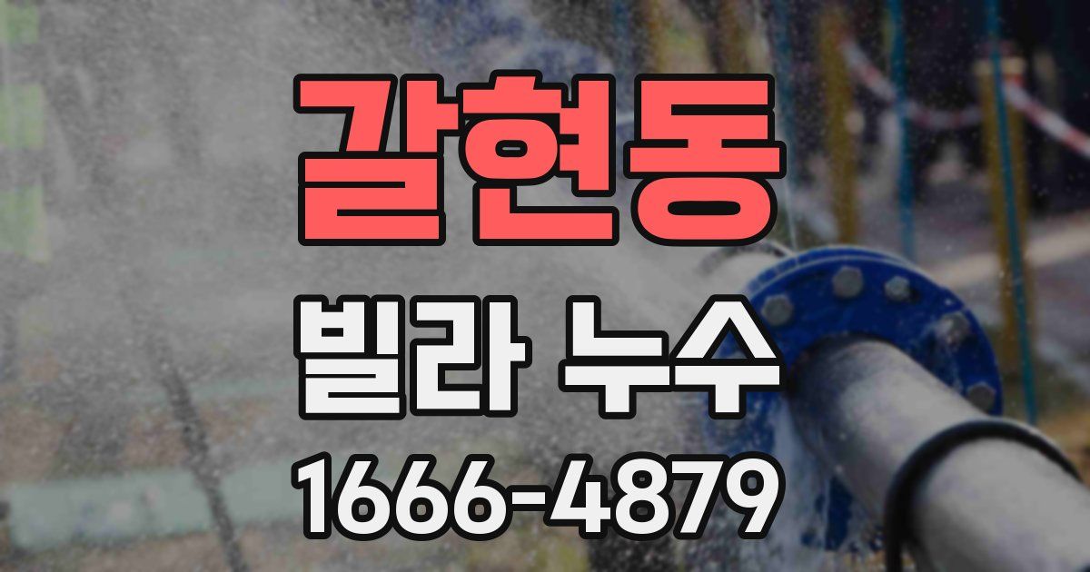 갈현동 빌라 누수