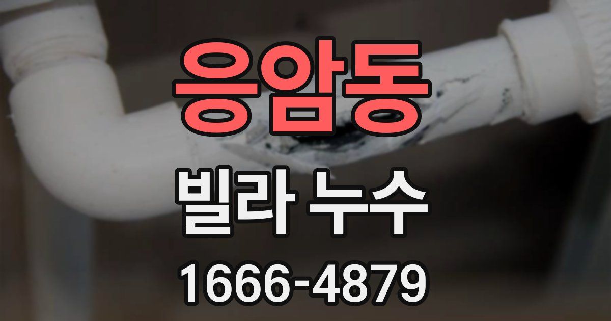 응암동 빌라 누수