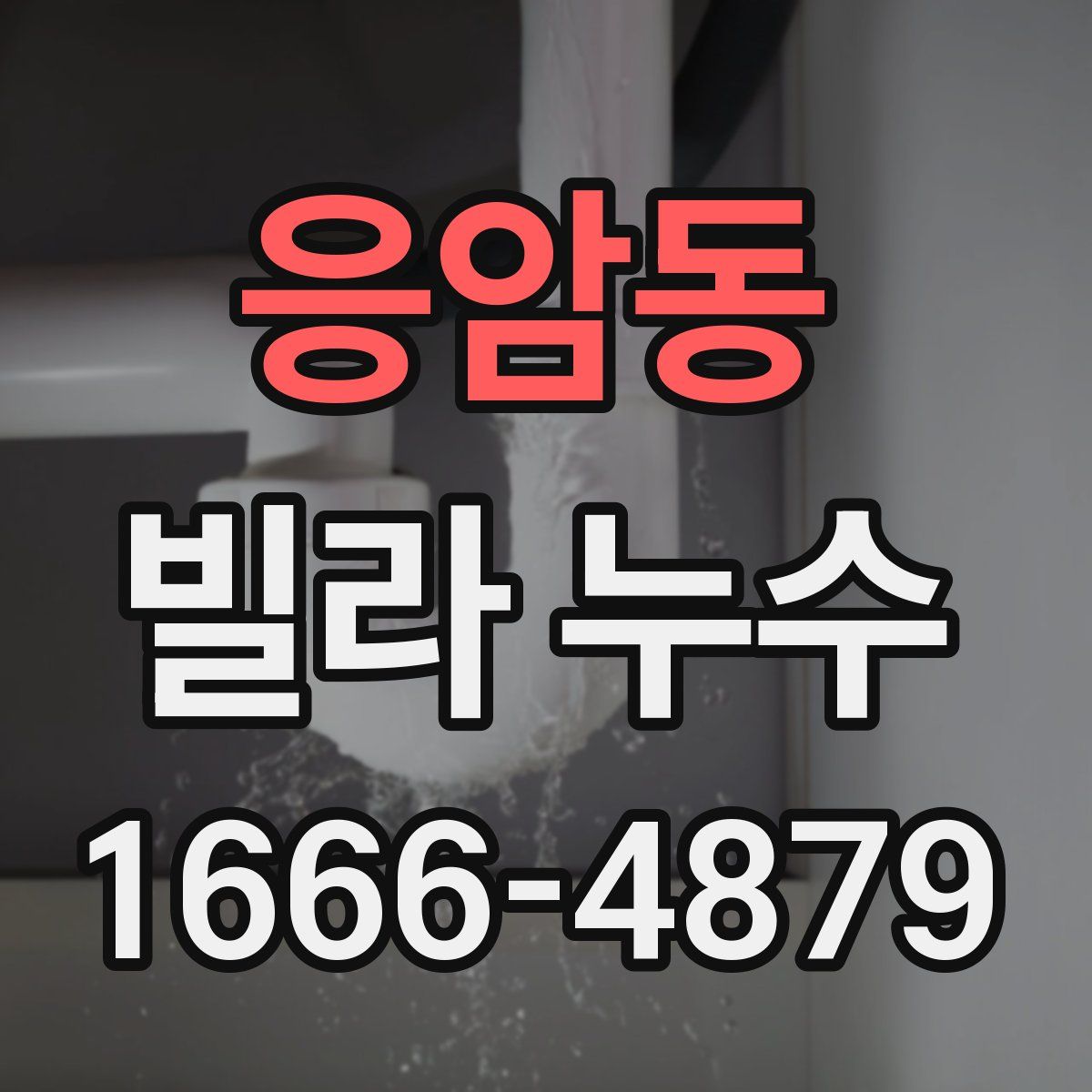 응암동 빌라 누수