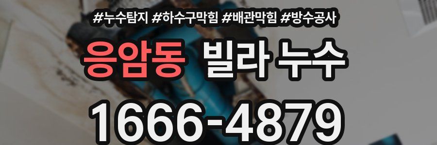 응암동 빌라 누수