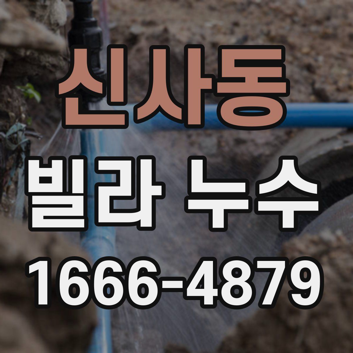 신사동 빌라 누수